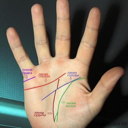 Линия сердца на ладони в картинках с расшифровкой