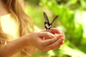 Як намалювати метелика на нігтях: покрокове фото