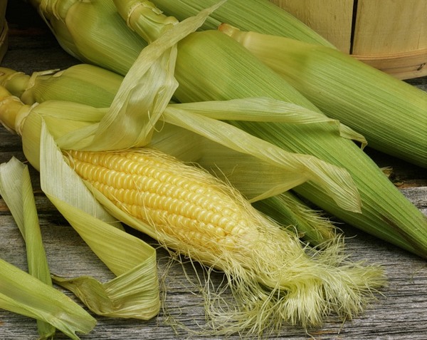 Як застосовувати кукурудзяні рильця?