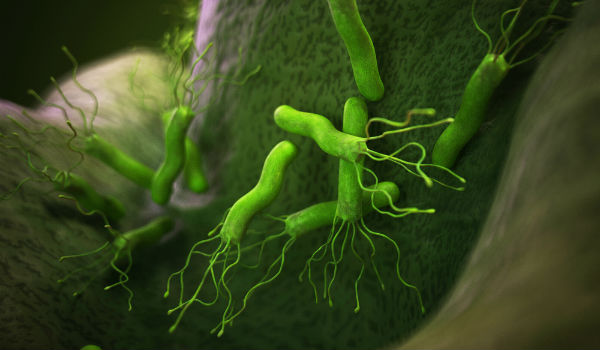 Хелікобактер пілорі: бактерія в шлунку