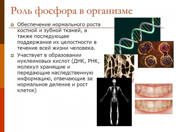 Проект йододефіцит в організмі людини