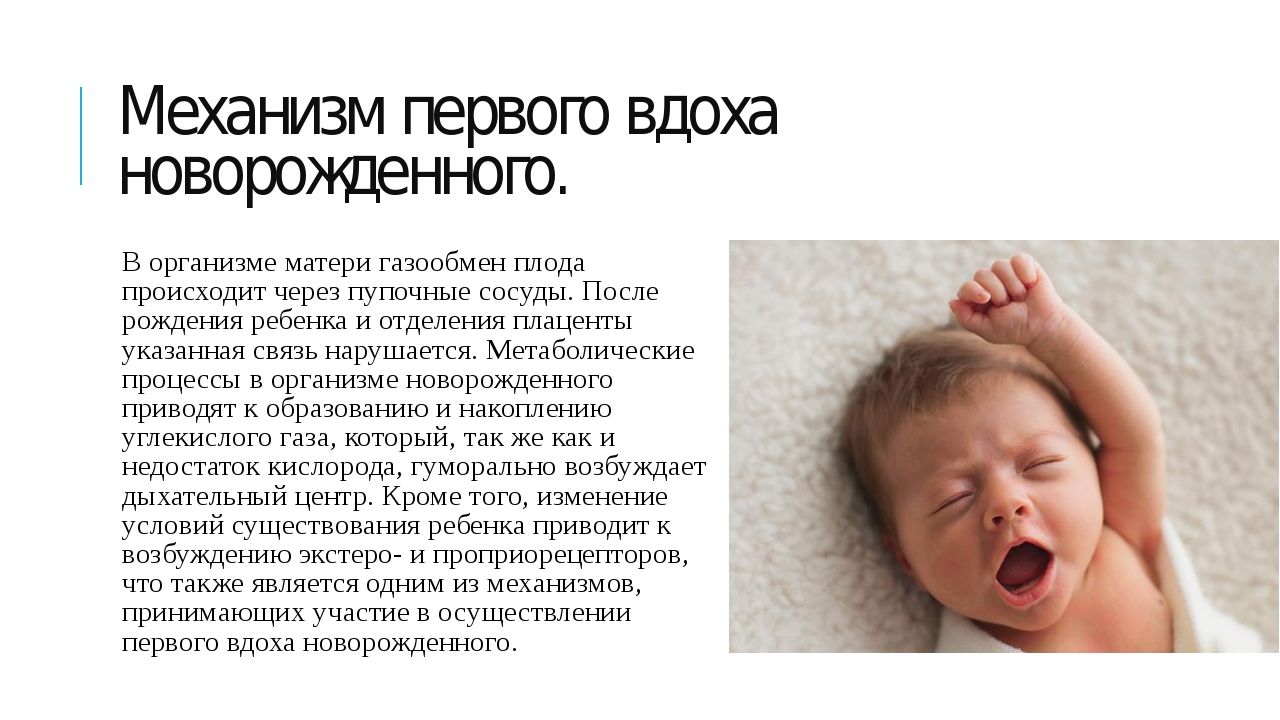Почему новорожденные дышат чаще. Механизм первого вдоха новорожденных. Первый вдох новорожденного. Причина первого вдоха новорожденного.