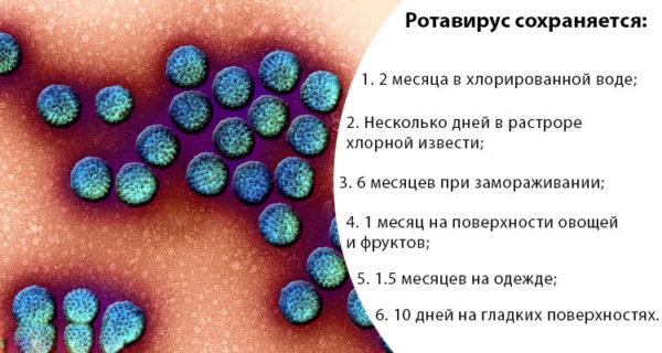 Ротавірус при вагітності на ранніх і пізніх термінах: ризики та небезпеки, шляхи інфікування та небезпечні наслідки для плоду і матері перенесеного кишкового грипу