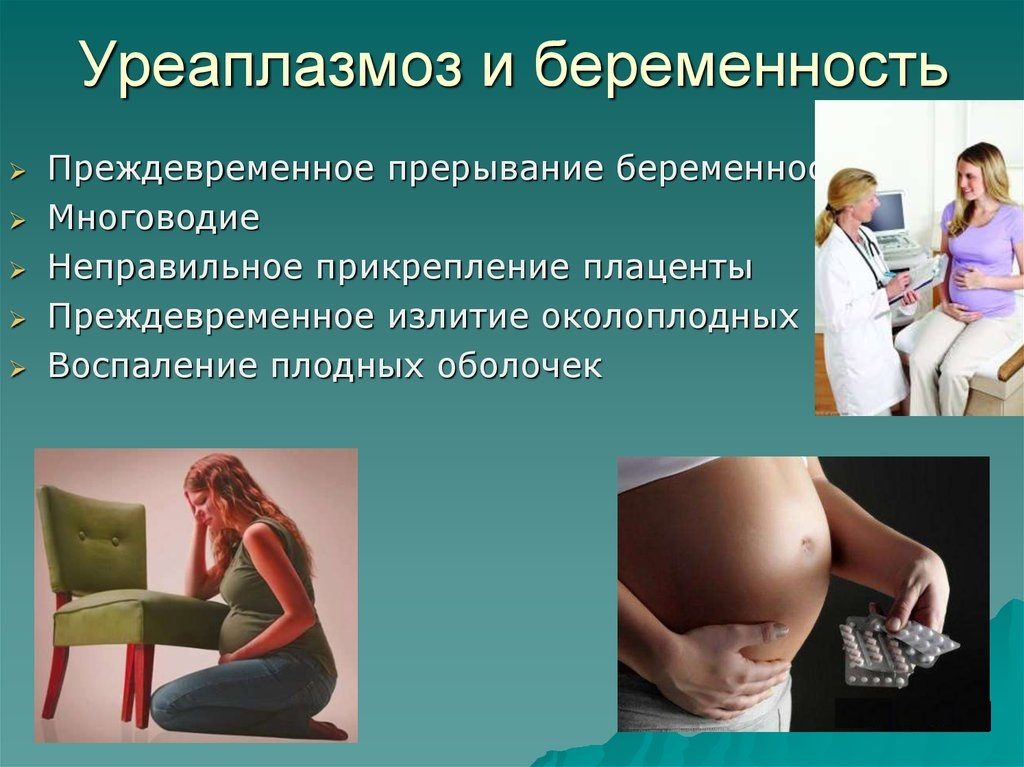 Уреаплазма при вагітності: які наслідки для дитини на ранніх або пізніх термінах, чи можна вилікувати повністю і що робити при загостреннях захворювання перед пологами