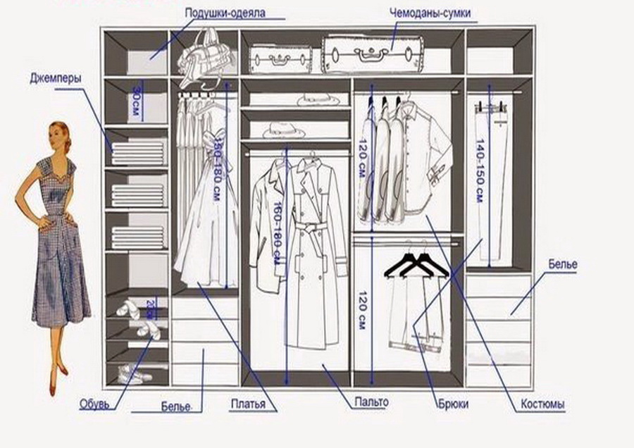 Сколько шкафов продали за день. Наполнение шкафа купе с размерами. Высота шкафа для верхней одежды. Конструкции встроенных шкафов для одежды. Наполнение шкафа Размеры.